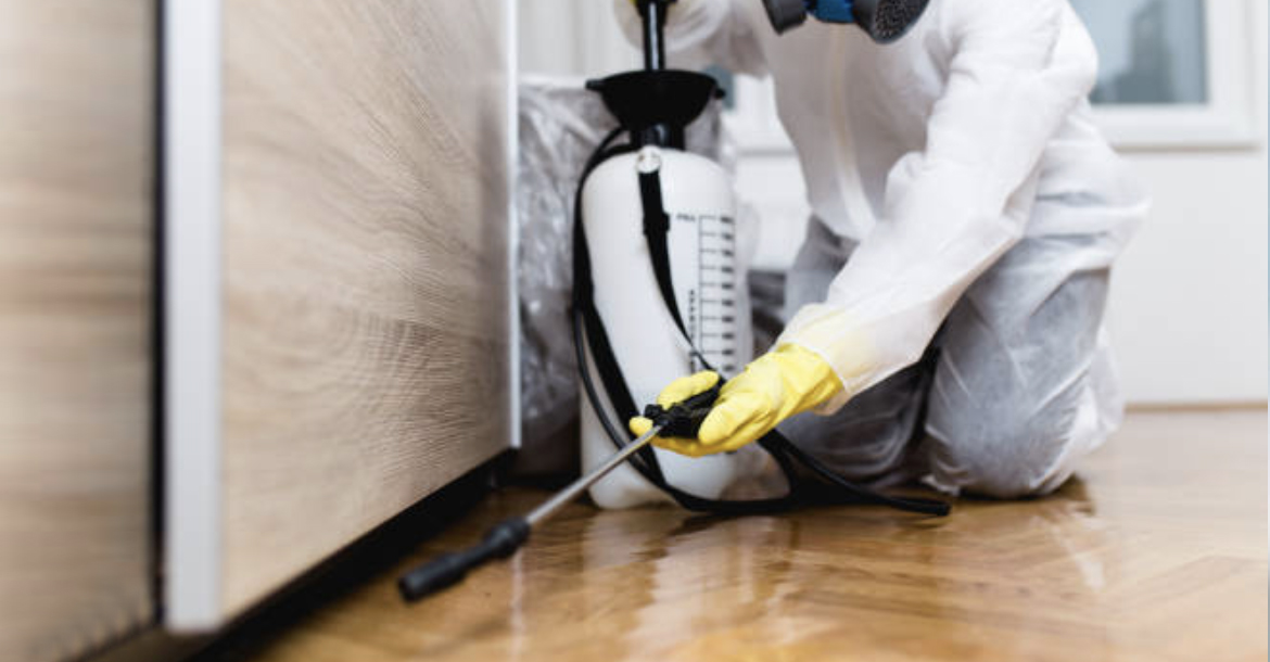 Cleanman Service Global Solutions